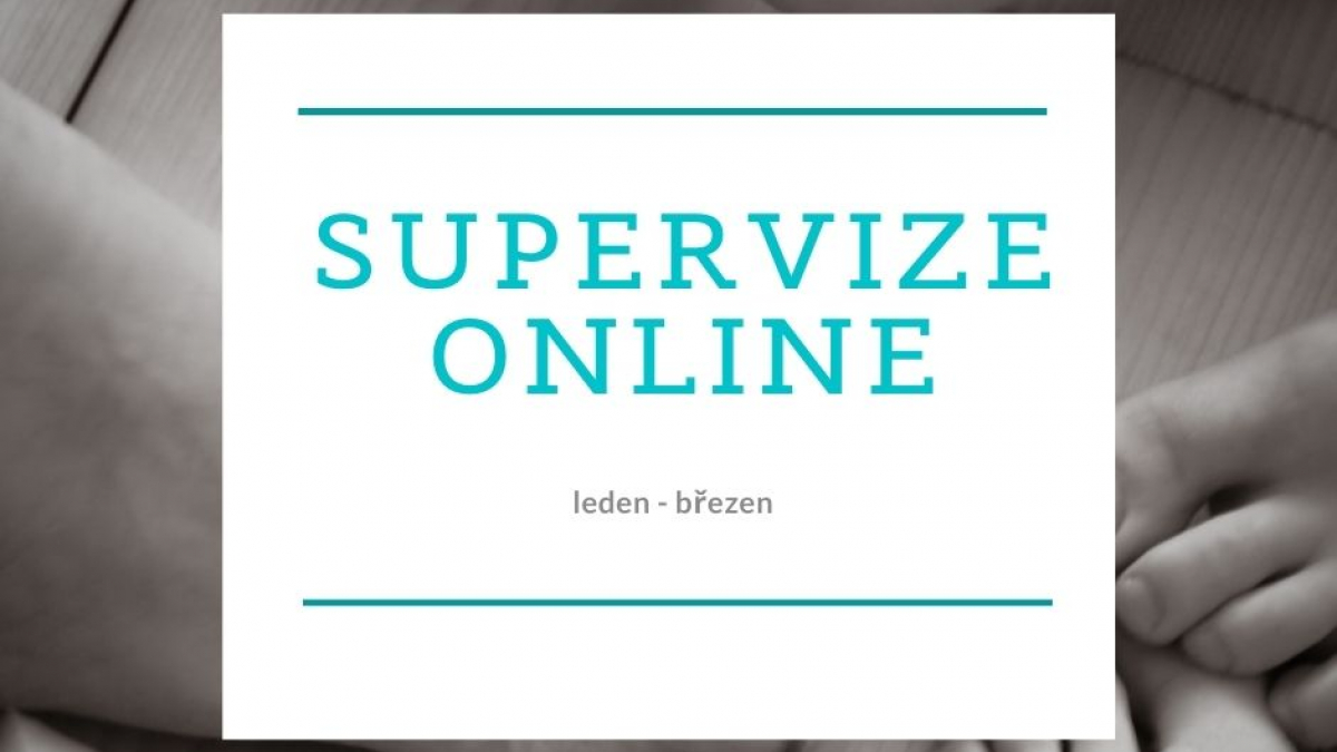 supervize jaro 2021 web